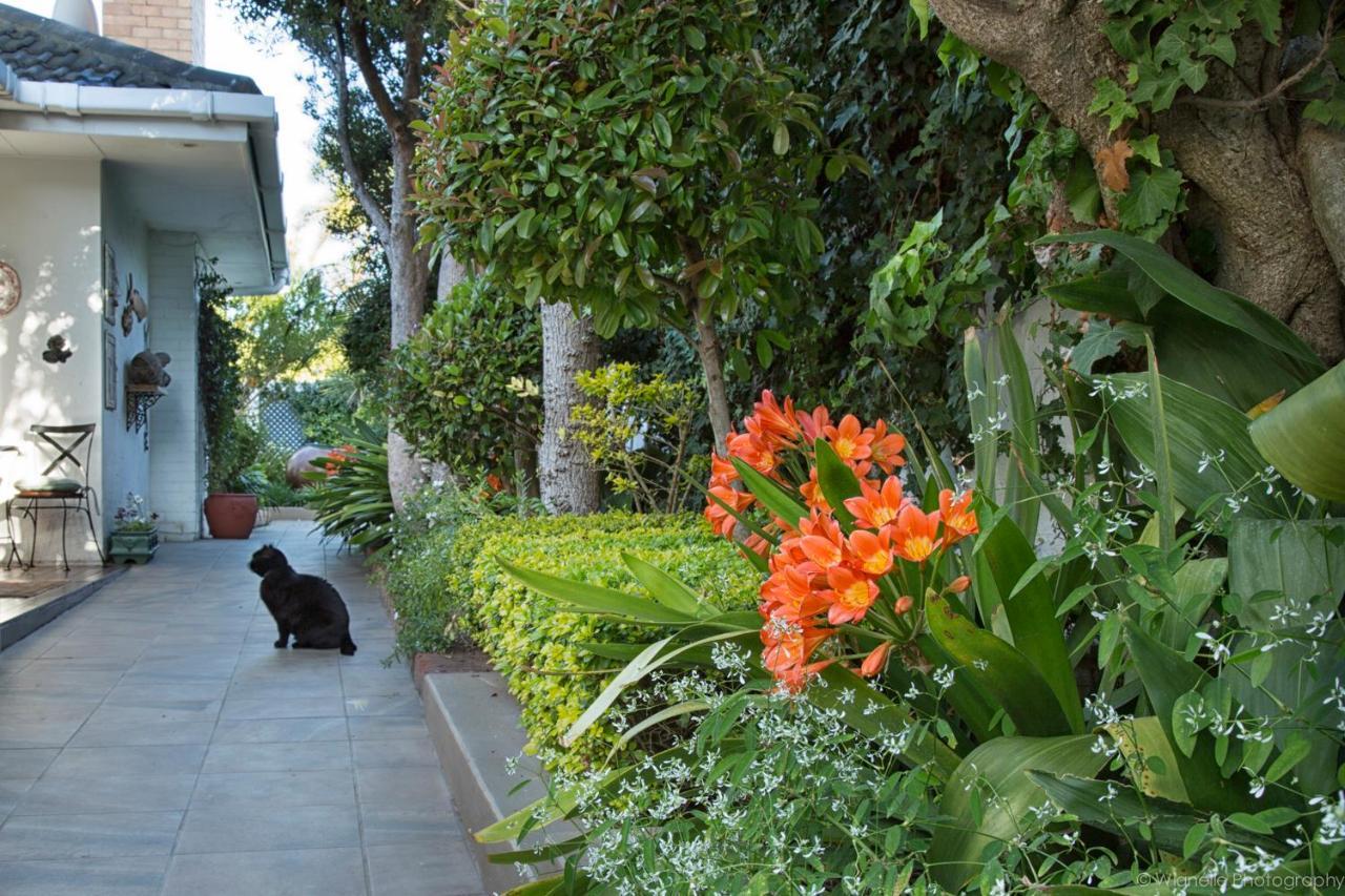คาร์สโลกี เฮาส์ Bed & Breakfast พอร์ตเอลิซาเบธ ภายนอก รูปภาพ